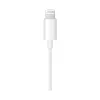 Picture of USB-C to lightning cable