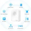 Picture of TAPO H100 Smart IoT HUB