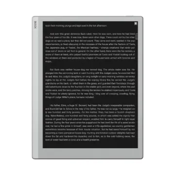 Picture of BOOX Go 10.3 Tablet